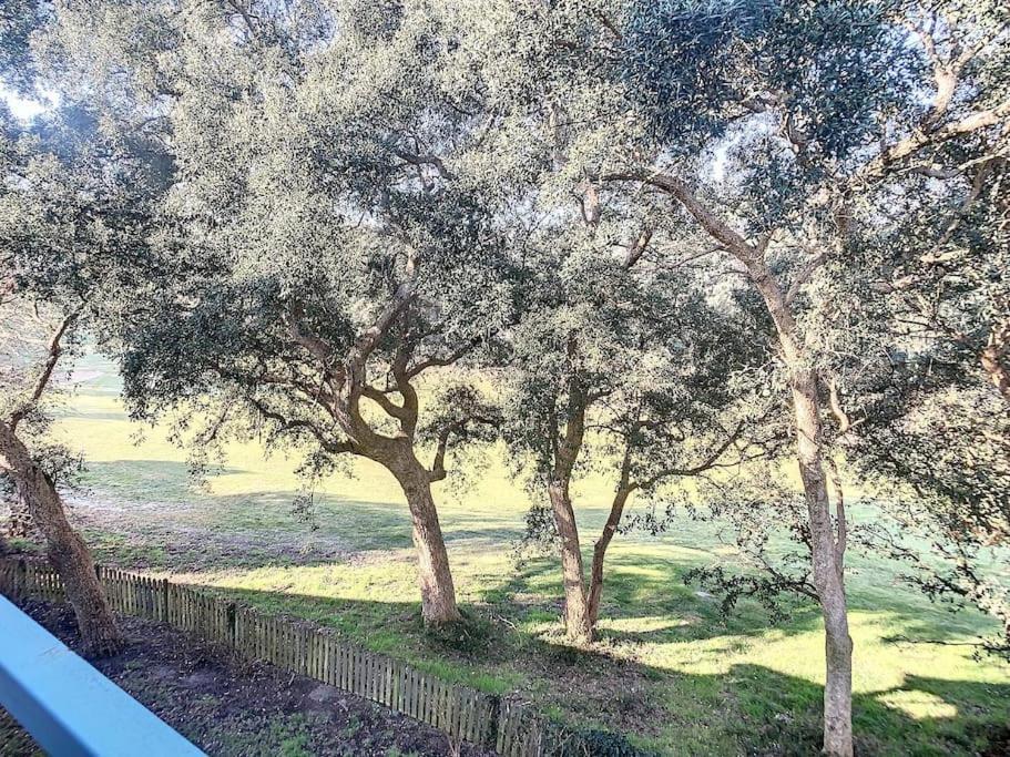 M-Fairway 01-Moliets Duplex 6 Personnes Dans Residence Avec Piscines Proche Du Golf Bagian luar foto